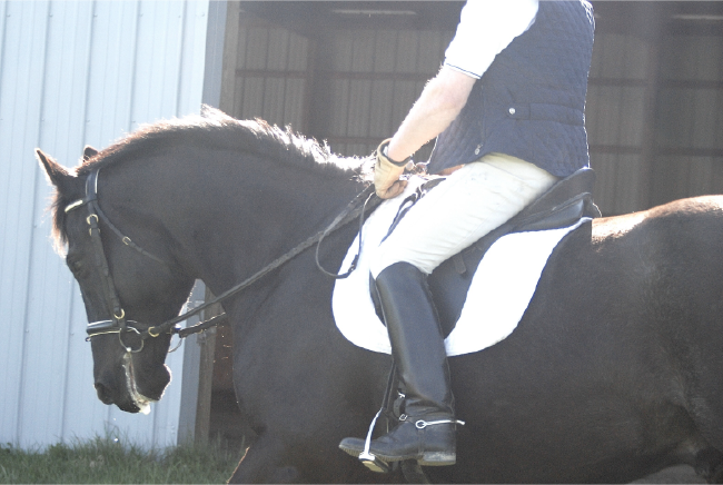 Dressage Without Drilling