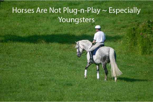 Horses Are Not Plug-n-Play ~ Especially Youngsters