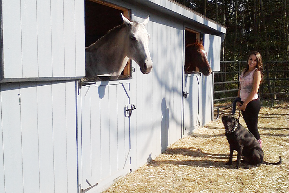 Shed Row Barn