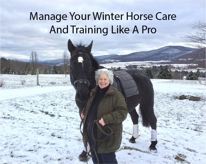 Manage Your Winter Horse Care And Training Like A Pro