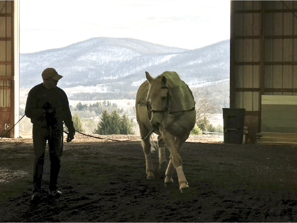 Riding A Horse Is About More Than Just Not Falling Off