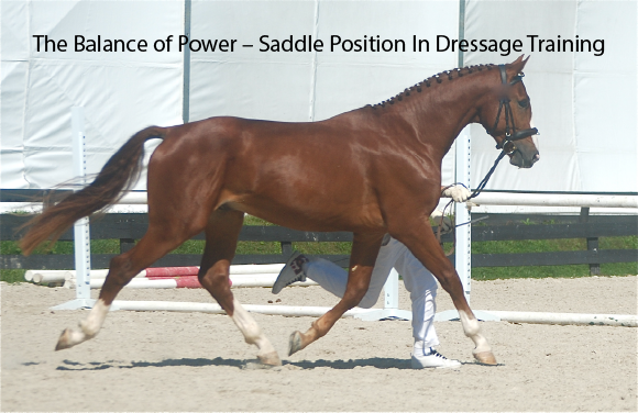 The Balance of Power – Saddle Position In Dressage Training