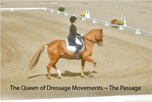 The Queen of Dressage Movements ~ The Passage