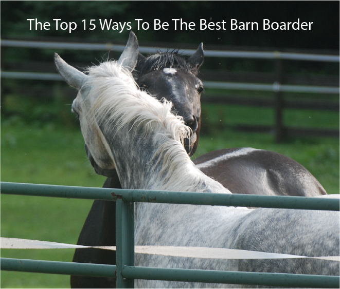 The Top 15 Ways To Be The Best Barn Boarder