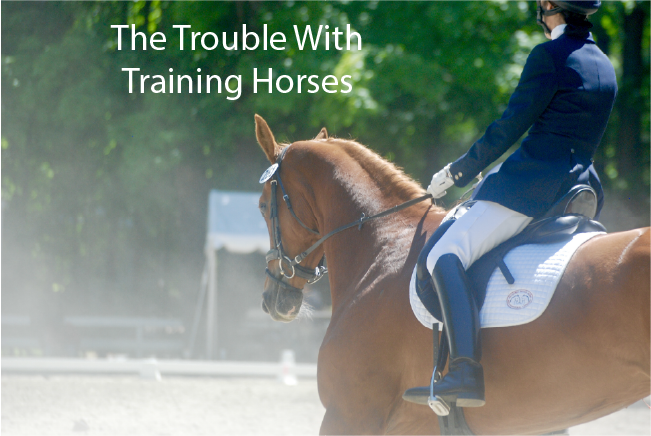 The Trouble With Training Horses