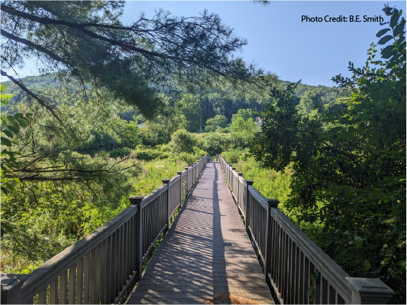 Time To Hit The Trail – The Catskill Scenic Trail That Is