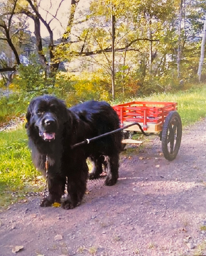 Time To Hit The Trail – The Catskill Scenic Trail That Is