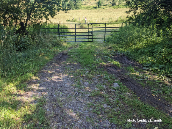 Time To Hit The Trail – The Catskill Scenic Trail That Is