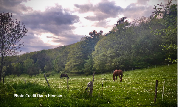 Time To Hit The Trail – The Catskill Scenic Trail That Is