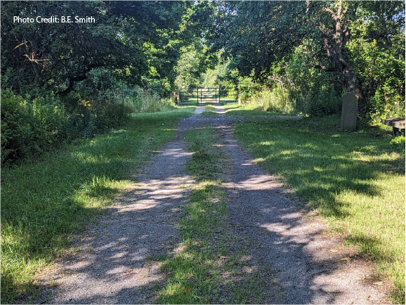 Time To Hit The Trail – The Catskill Scenic Trail That Is