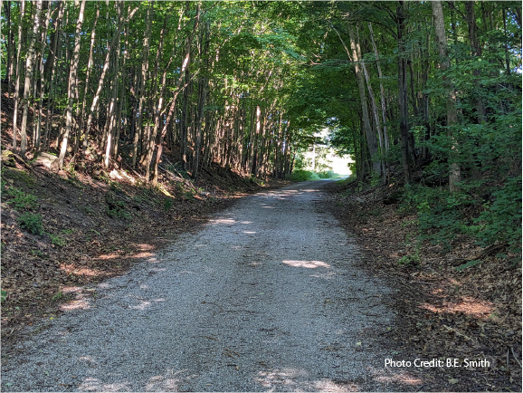 Time To Hit The Trail – The Catskill Scenic Trail That Is