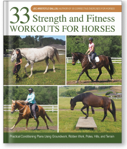 33 Strength and Fitness Workouts for Horses