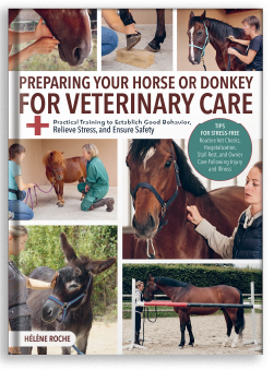 Preparing Your Horse or Donkey For Veterinary Care