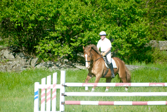 Preventing Dehydration in the Horse
